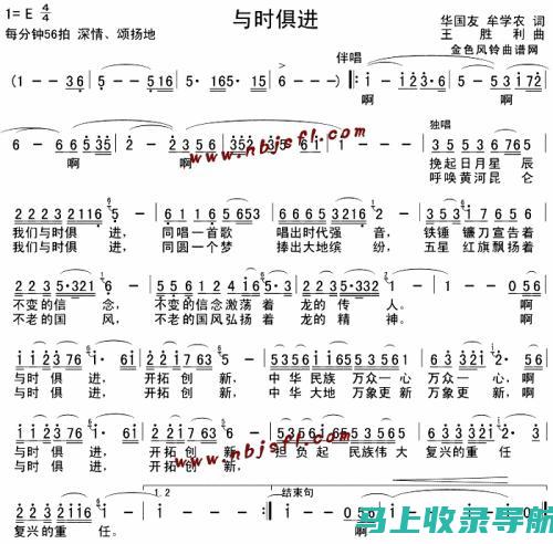 网上优化公司的创新实践与挑战应对